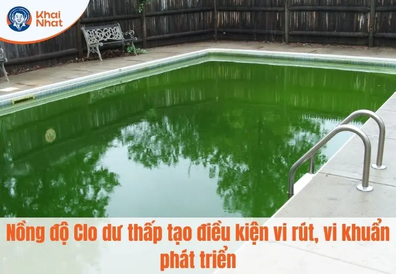Nồng độ Clo dư thấp làm cho vi khuẩn và tảo phát triển
