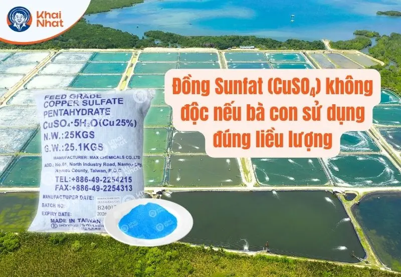 Đồng Sunfat có độc không?