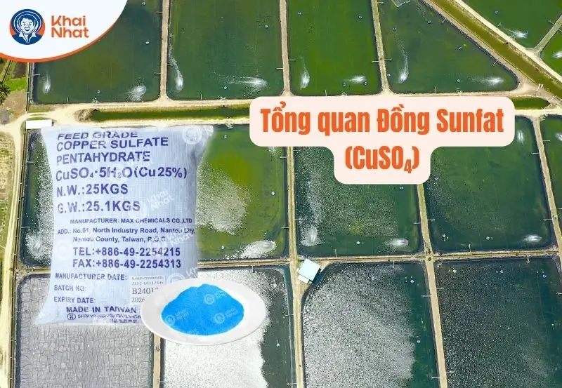 Tổng quan về Đồng Sunfat