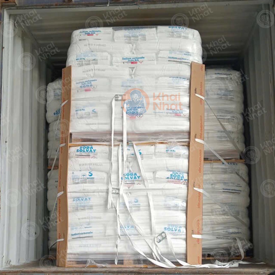 Soda Solvay Light - Ý - Image 5