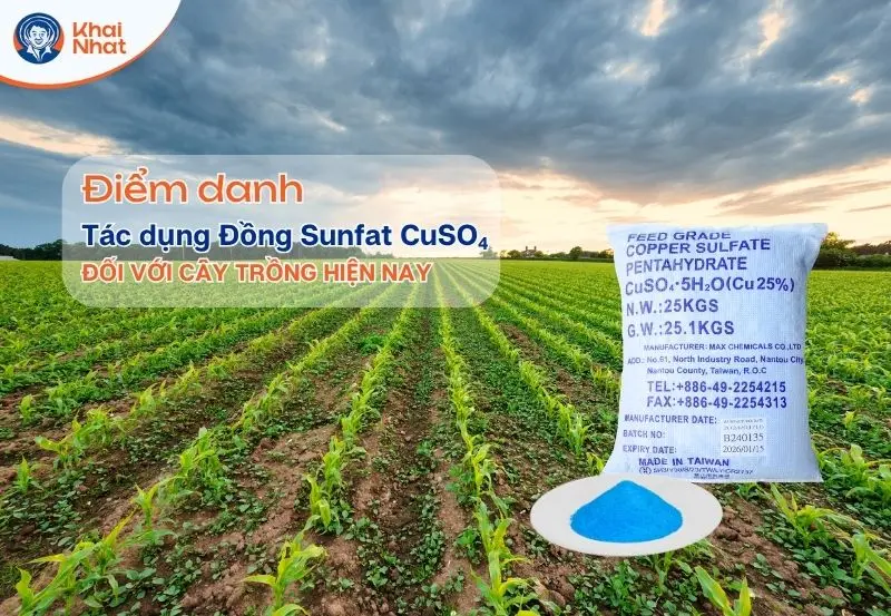 Đồng sunfat cho cây trồng