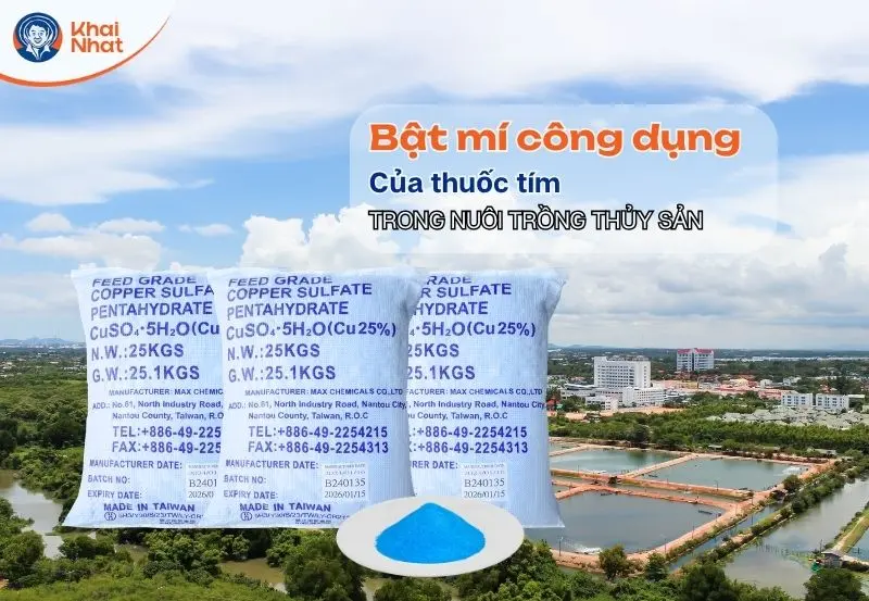 Banner Đồng sunfat trong nuôi trồng thủy sản