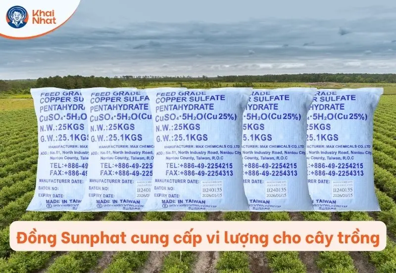 Đồng sunfat cung cấp vi lượng đối với cây trồng