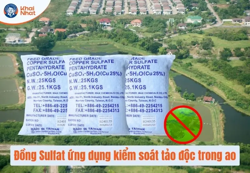 Đồng sunfat có khả năng kiểm soát tảo độc