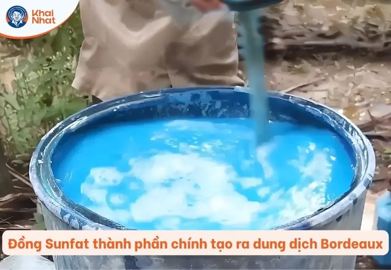 Đồng Sunfat là thành phần chính tạo ra dung dịch booc đô