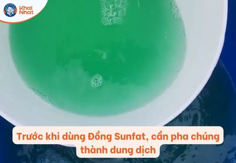 trước khi bỏ Đồng Sunfat vào ao nuôi tôm, tiến hành pha chúng thành dung dịch