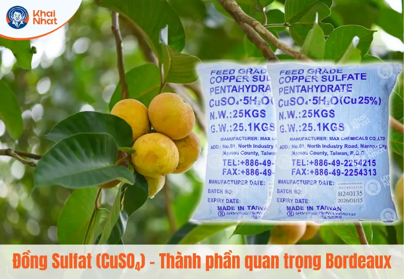 Đồng sunfat ứng dụng trong nông nghiệp