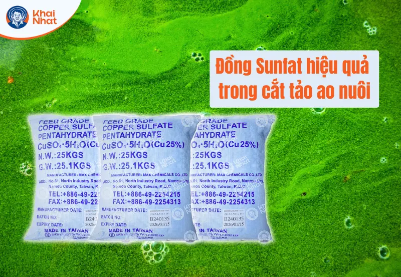 Ứng dụng đồng sunfat trong ngành nuôi trồng thủy sản thường dùng để cắt tảo