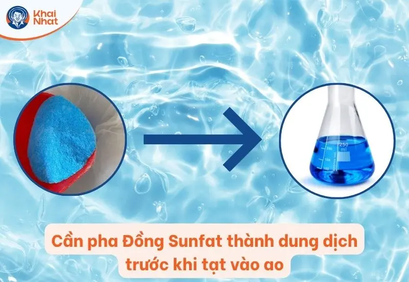 Cần pha Đồng Sunfat thành dung dịch trước khi cho xuống ao