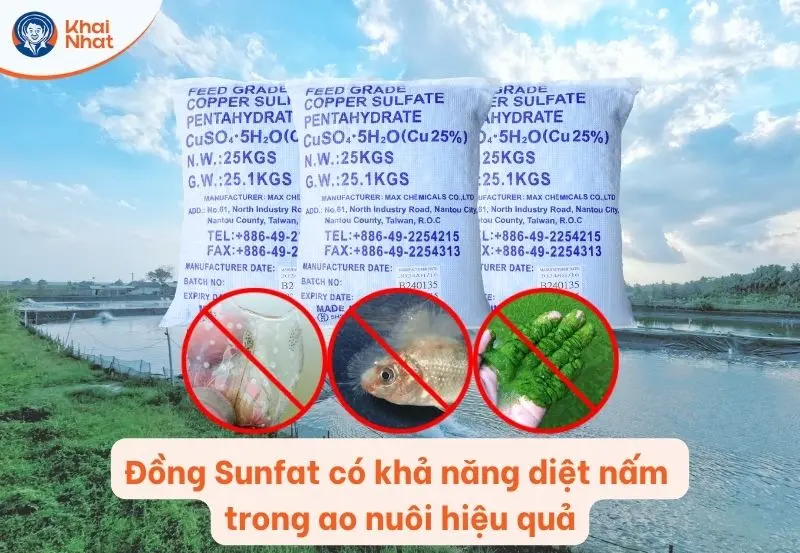 Đồng Sunfat có khả năng diệt nấm trong ao nuôi