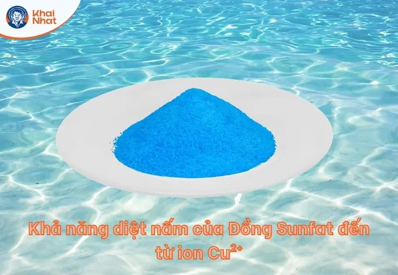 Giải mã lý do Đồng Sunfat diệt được nấm
