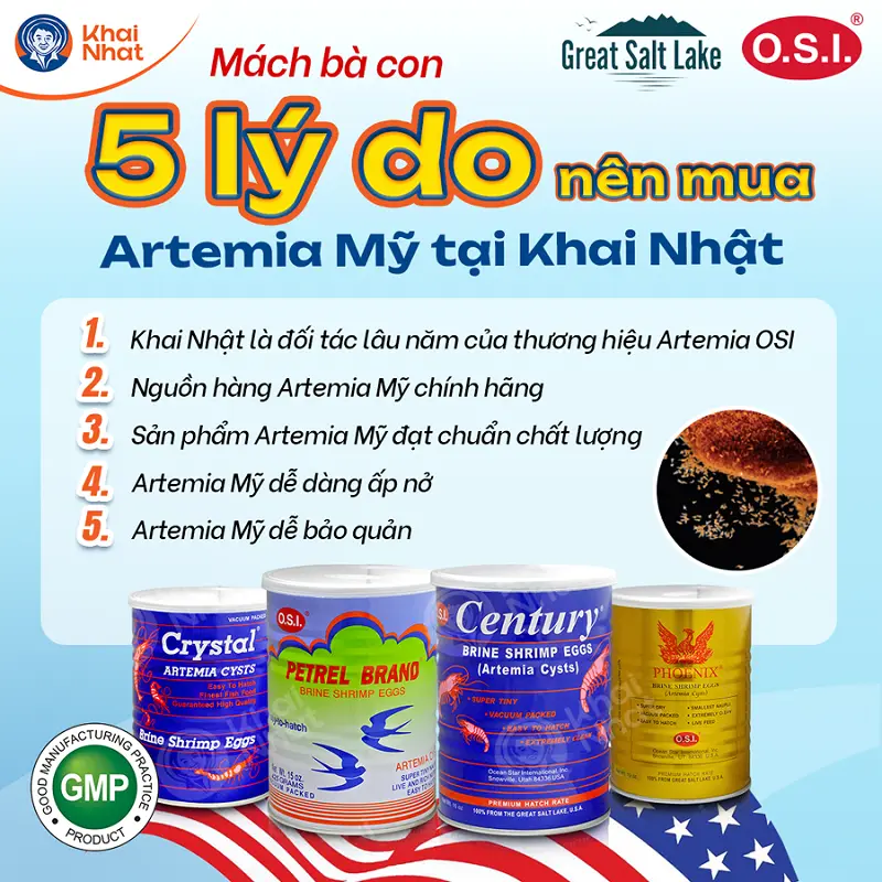 Khai Nhật là địa chỉ cung cấp Artemia chất lượng, uy tín
