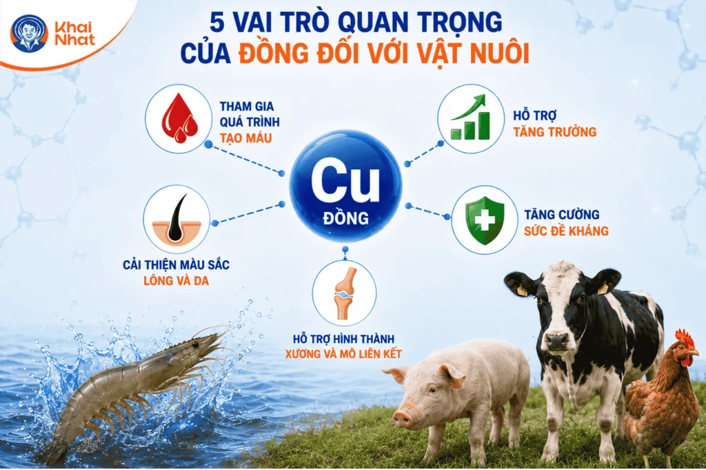 dong-sunfat-dai-loan-cho-vat-nuoi-2