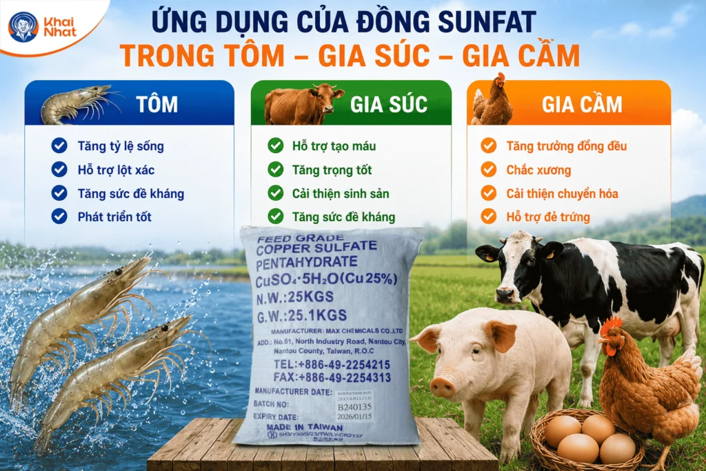 dong-sunfat-dai-loan-cho-vat-nuoi-4