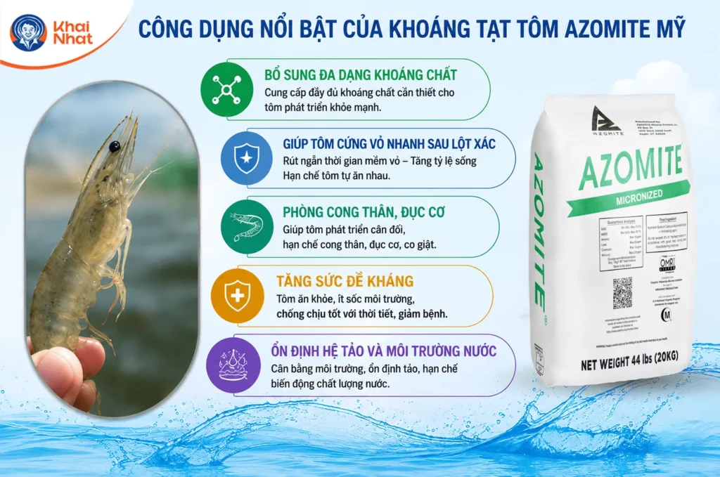 khoang-tat-tom-azomite-my-3