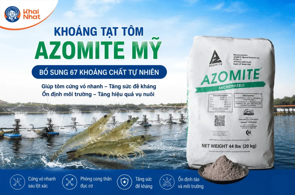 khoang-tat-tom-azomite-my-5